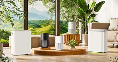 Products from GoveeLife in use