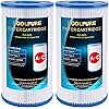 POOLPURE Replacement Filter for Type A or C, Compatible with Intex 29000E/59900E, Easy Set Pool Filters, Summer Escapes or Summer Waves Above Ground Pools, Pack of 2