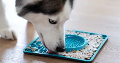 Products from Messy Mutts in use