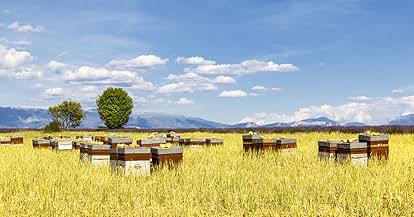 Products from Honey Lake in use