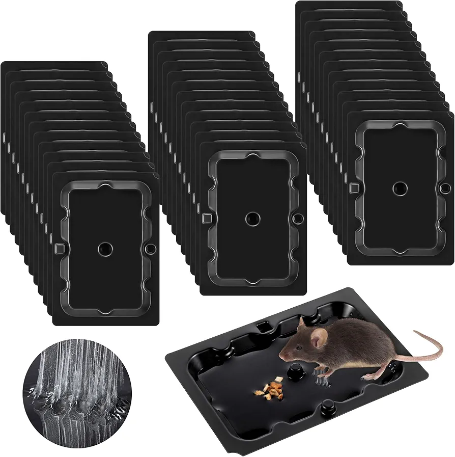 Qualirey 36 Pack Mouse and Insect Glue Traps, Strong Sticky Mice Traps Indoor for Home, Pre Scented Rodent Traps with Non Toxic Glue for House Garage, Ready to Use, Safe to Children and Pets (Black)