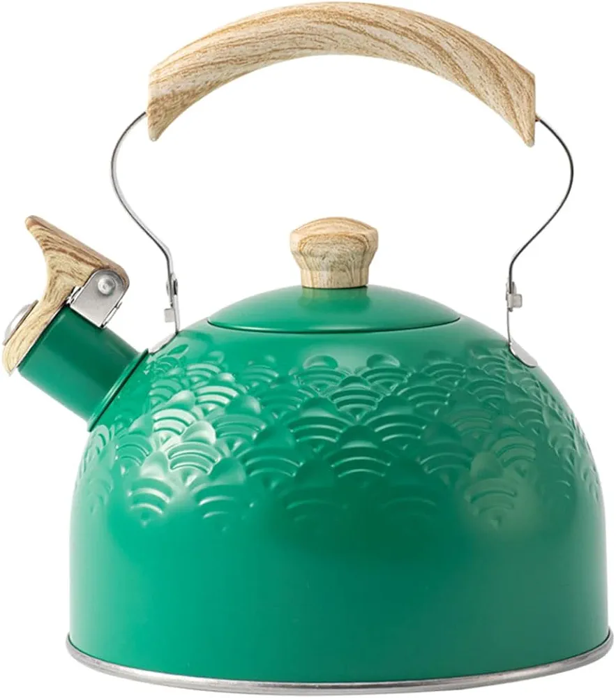 Whistle Kettle Loud Stainless Steel Water Kettle Water Boiler Pot 2.5L Steel Kettle with Ergonomic Handle for Kitchen