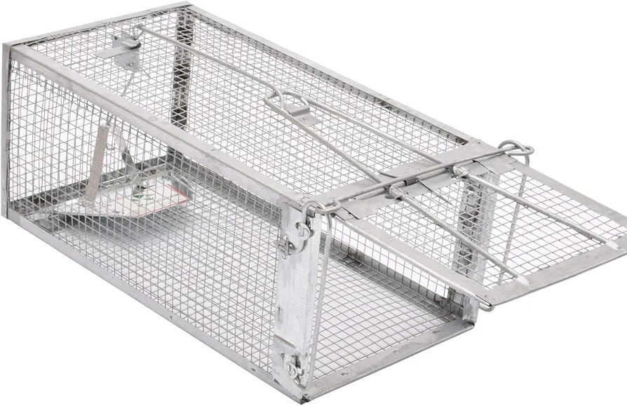 Kensizer Animal Humane Live Cage Trap That Work for Rat Mouse Chipmunk Mice Voles Hamsters and Other Small Rodents, Trampa para Ratones, Catch and Release 1Pack Medium