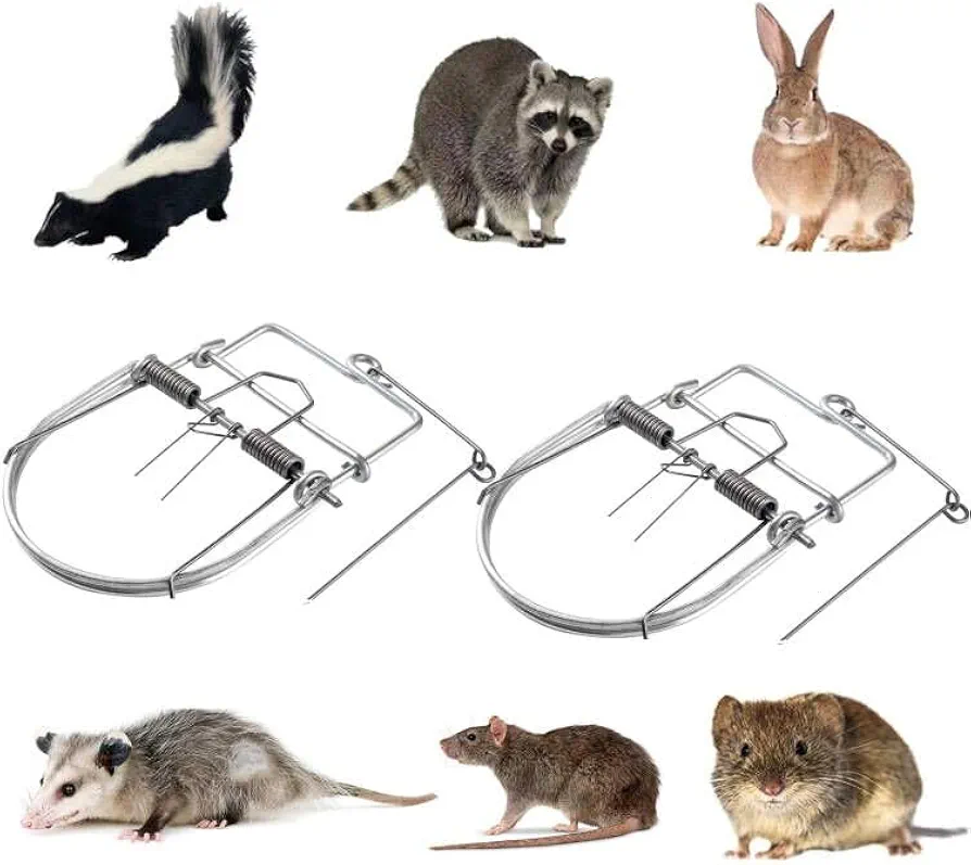 2 Pack Small Animal Traps Mouse Trap,Spring Trapt Rodent Cage,Suit for Rat,Reusable
