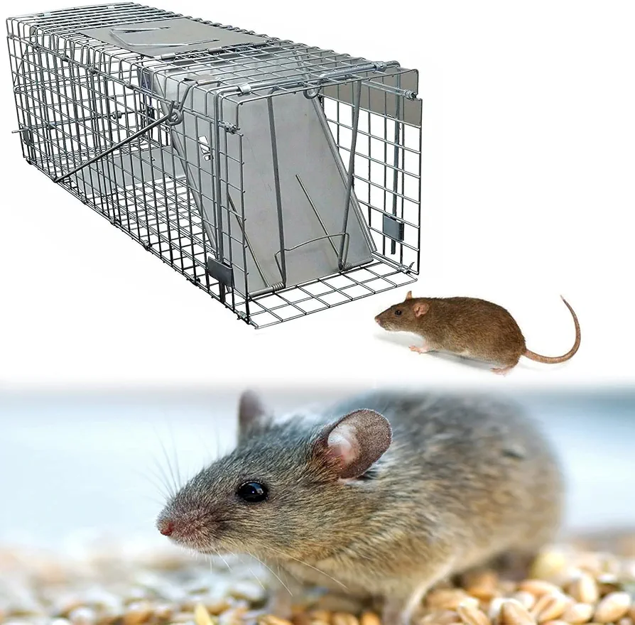 Animal Trap Cage, Humane Mouse Traps, Live Mouse Cage Trap for Indoors & Outdoors, Heavy Duty Metal Trap Easy to Set for Catch and Release Rats Mouse Mice Rodents and Similar Sized Pests, 61x19x21cm