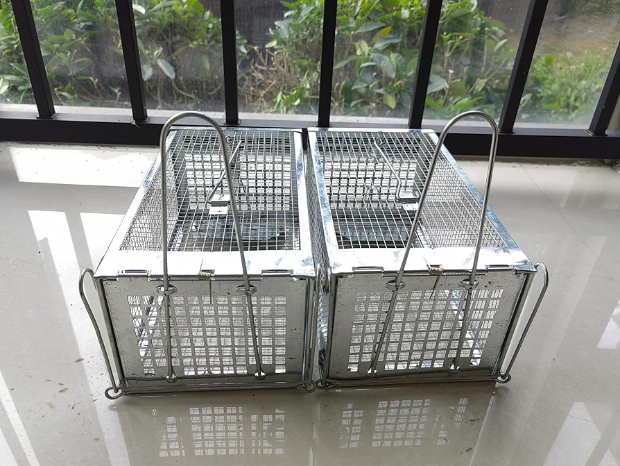 HUIYGC Rat Trap, Chipmunk Rodent Trap Working for Indoor and Outdoor to Catch Small Animal - Mouse Voles Hamsters Humane Cage Trap-O (2), silver