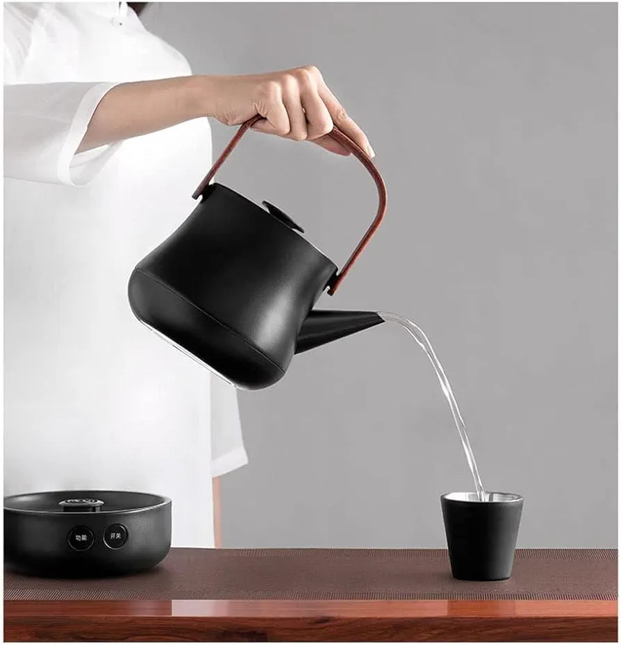 GaRcan Electric Kettles Traditional Electric Kettle with Handle and Tea Filter Hot Water Boiler Stainless Steel Silent Water Boiler 800ml/28oz ease of use (Black)