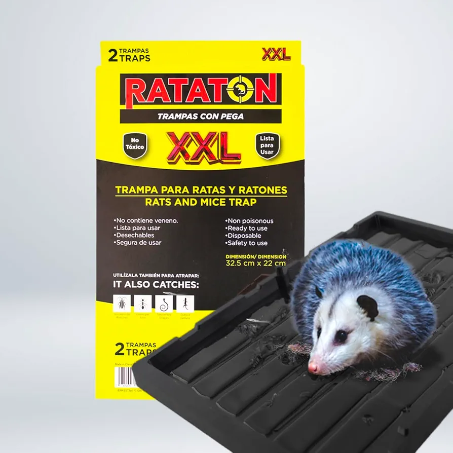 Glue trap for rats and mice, for extra large animals, without poison, non-toxic, you can release the animal just apply cooking oil. Easy to use indoor and outdoor use, Safe for people and pets