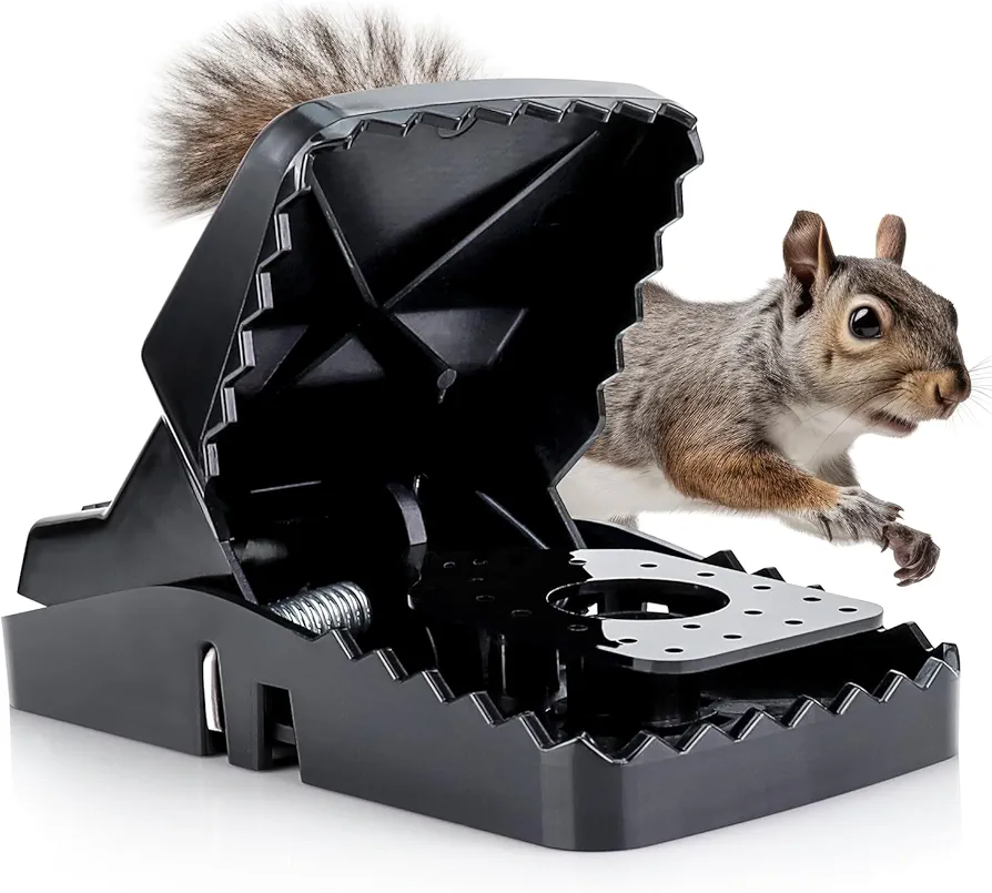 Squirrel Trap (2 Pack) - Consistent & Humane Kill Every Time with no Failures - Powerful Spring - 5" Large Opening - 96% Instant Kill - for Attic, Garden, Forest & More - Reusable - Easy Setup