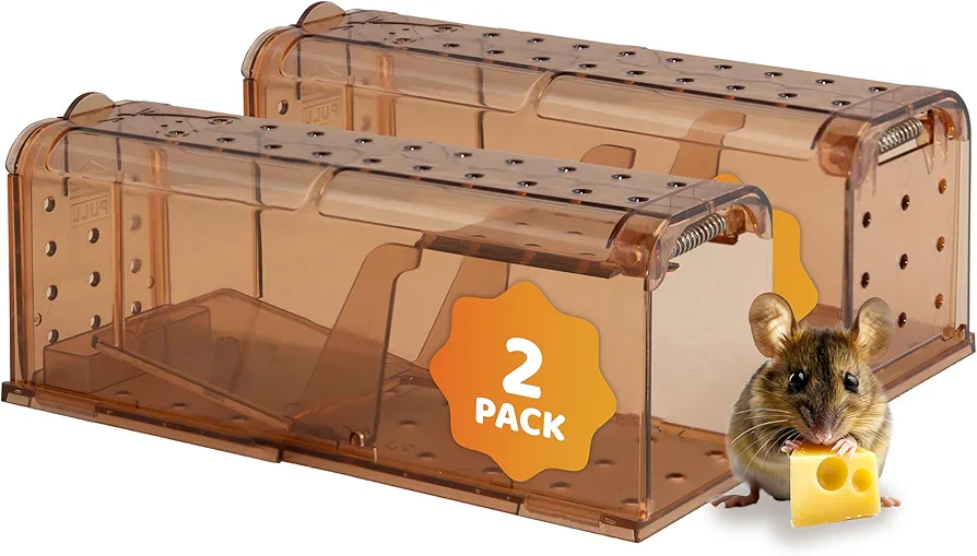 Sunnydaze Humane Mouse Trap - Indoor for Home - Outdoor Mouse Traps - Child and Pet Safe - Reusable - 2-Pack