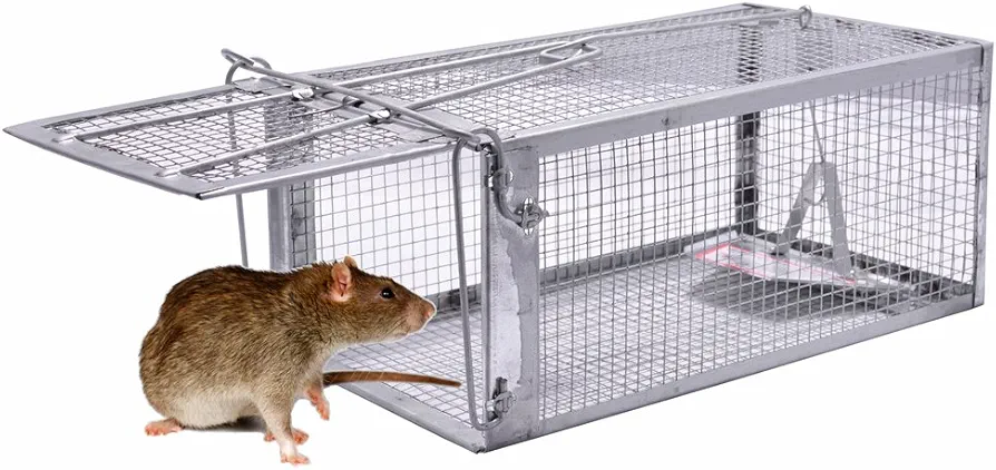 Quality Rat Trap, Humane Live Animal Mouse Cage Traps, Catch and Release Mice, Rats,Chipmunk, Pests, Rodents and Similar Sized Pests for Indoor and Outdoor, 10.6 X 5.63 X 4.33 Inches, One-Door