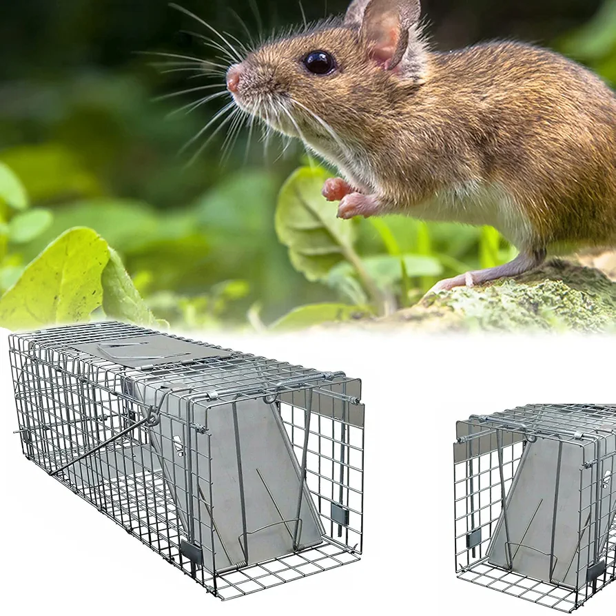 Humane Squirrel Trap, Animal Trap Cage Mouse Traps Heavy Duty Metal Trap for Live Release, Rat Traps for Rabbits, Cats and Similar Sized Wildlife, Indoor and Outdoor Use, 61x19x21cm