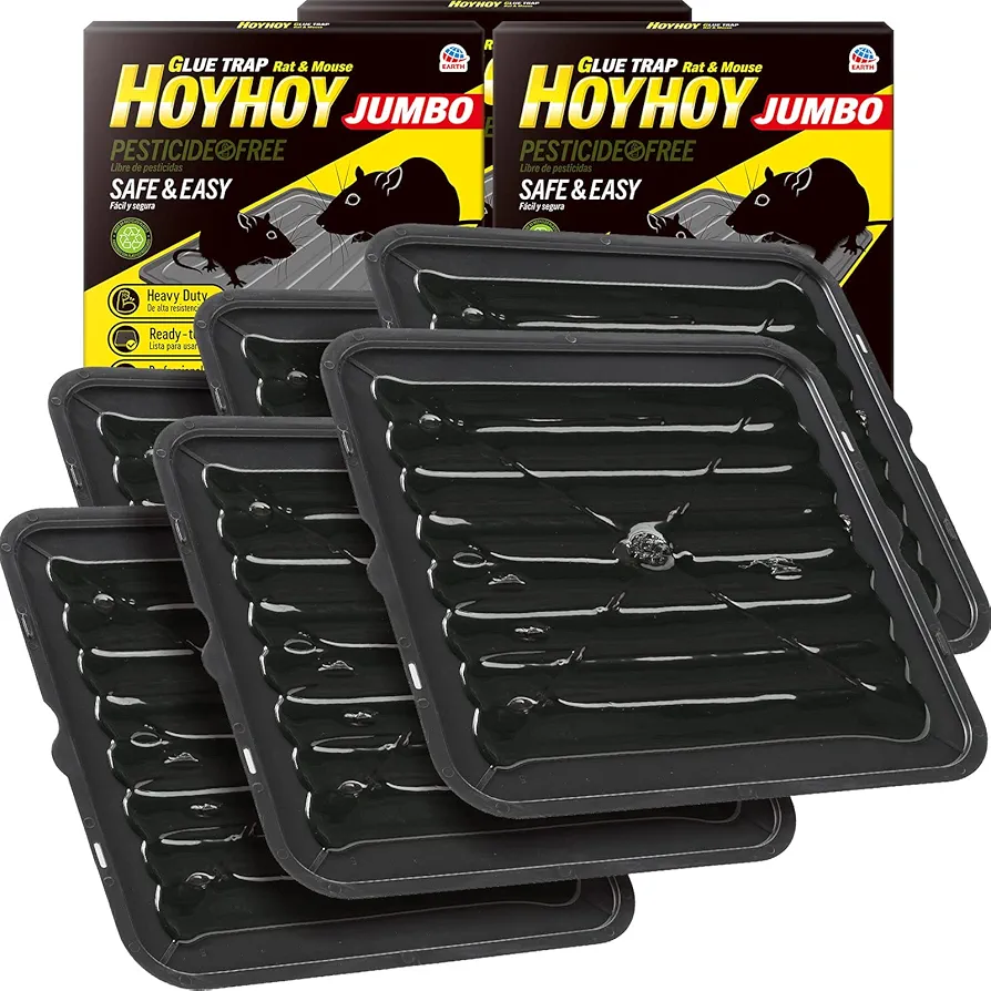 HOY HOY Rat & Mouse Jumbo Size Glue Trap 6 Traps [3-Pack] - Heavy-Duty Professional Strength Ready-to-Use Rodent Pest Control, Great for Home with Kids & Pets Indoor Household Pests