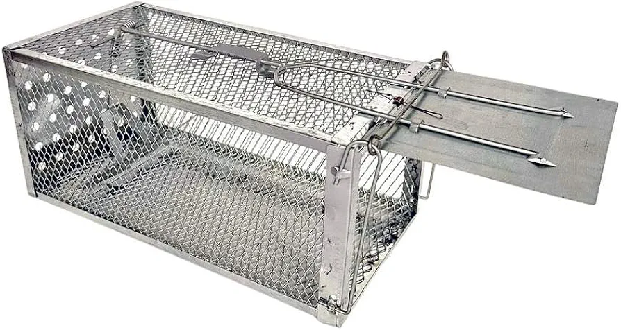 Quality Live Animal Humane Trap Catch and Release Rat Mouse Chipmunk Mice Voles Hamsters Rodents - Voles Squirrel and Similar Sized Pets Safe and Effective | Size Medium