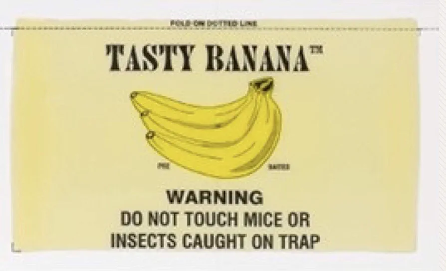 Catchmaster 72TB Mouse Glue Boards, 72 ct