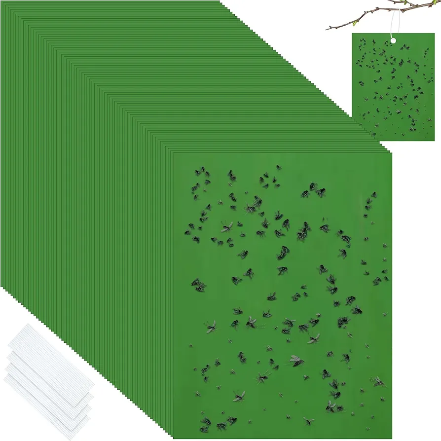 Qualirey 100 Pcs 6 x 8 Inch Sticky Traps for Plant Double Sided Sticky Trap for Gnats with Twist Ties Bugs Sticky Traps Plant Fruit Fly Traps for Indoor Outdoor (Green)