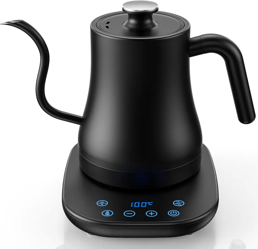 Gooseneck Electric Kettle, Temperature Control, 0.8 L (0.8 L), Coffee Kettle, 1030 W, Rapid Boiling