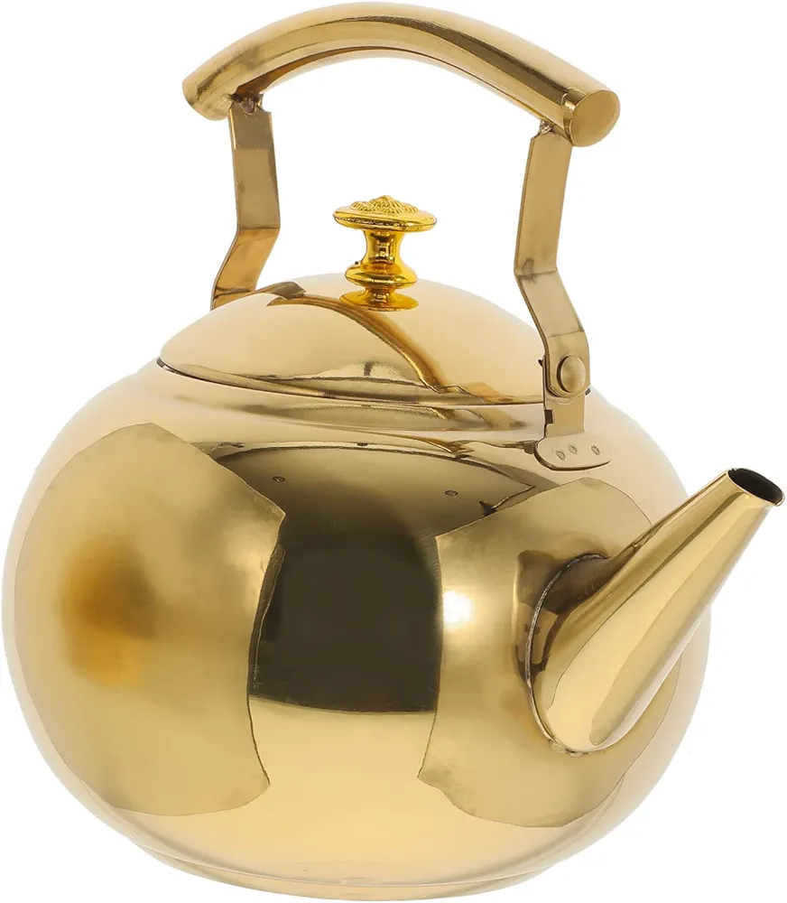 Garneck Pot Electric Kettle Temperature Control Camping Coffee Mugs Gas Top Kettle Small Hot Water Heaters Mini Kettle Induction Cooktop Water Boiler Stainless Steel Accessories Gooseneck