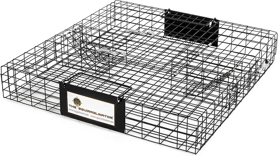 Rugged Ranch Squirrelinator 2 Door Small Metal Wire Multi-Catch Live Animal Squirrel Catch & Release Cage Trap for Pest Control, Black