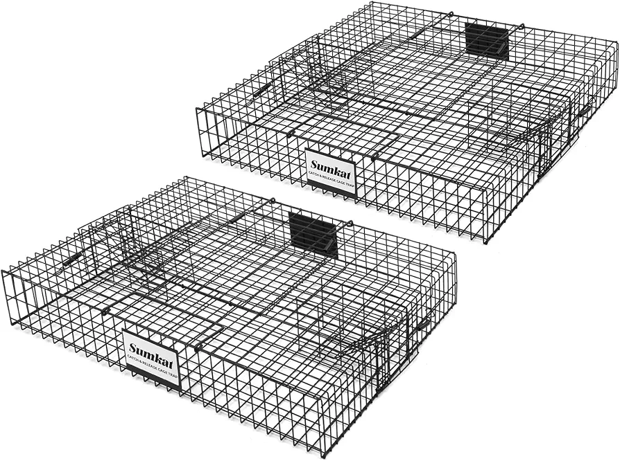Squirrel Trap Live Rodent Cage for Humane Catch and Release, Holds up to 25 Squirrels, 2 Traps
