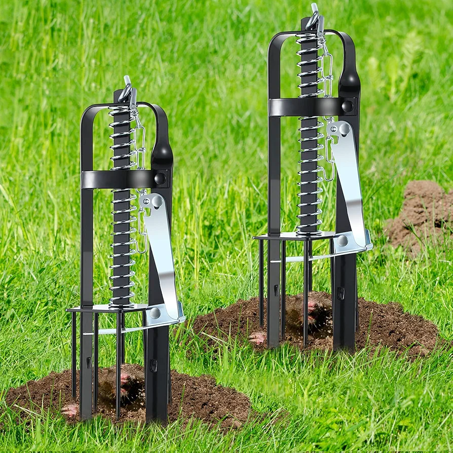 Qualirey 2 Pc Mole Trap for Lawns, Spear Style Mole Killer for Garden Yard Outdoor, Alloy Steel Mechanical Gopher Vole Traps, Quick and Clean
