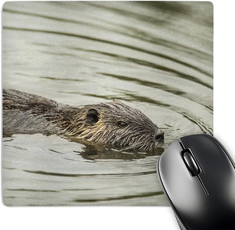 3dRose Coypu, aka River Rat or Nutria is a Large, semi-Aquatic Rodent. - Mouse Pads (mp_332886_1)