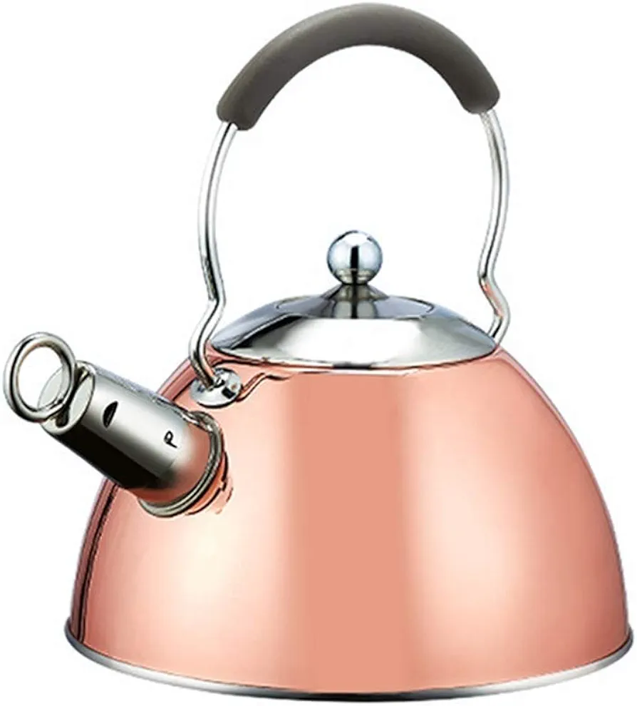 Stainless Steel Whistling Tea Kettle Stove Top Kettle Teapot, for All Stovetops, 2.5 Liter Teakettle Teapot