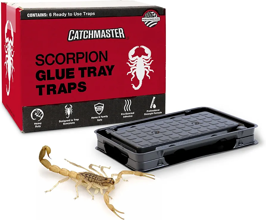 Catchmaster Scorpion Glue Tray Traps 6-Pack, Adhesive Scorpion Killer for Home, Simple Insect Traps Indoor, Sticky Bug Catcher for Kitchen, Garage, & Basement, Pet Safe Pest Control Glue Traps