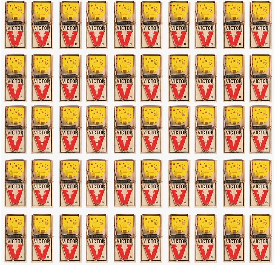 Victor EZ set mouse trap (Pack of 50)