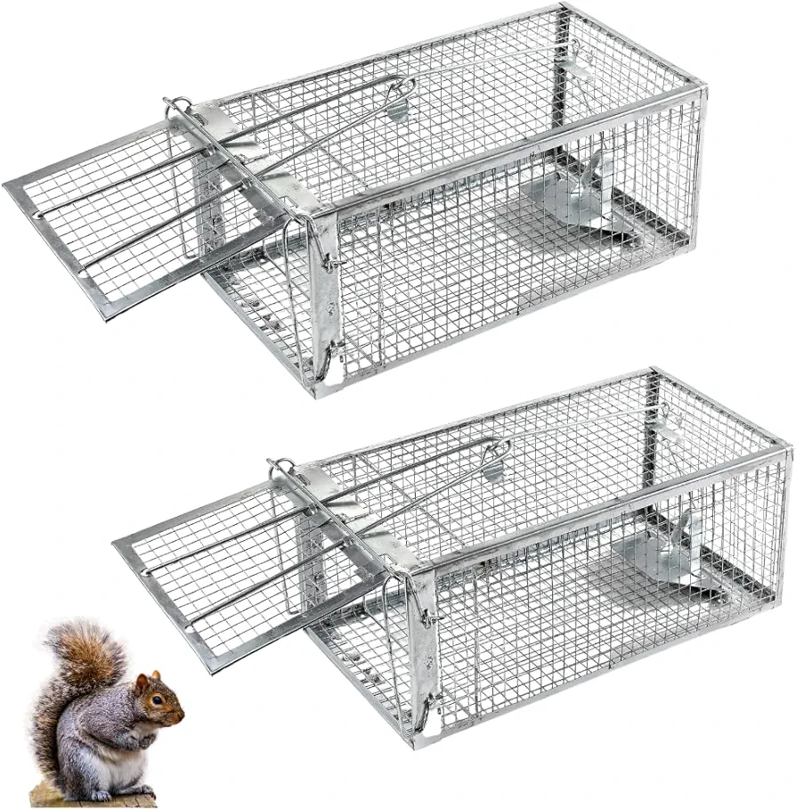 Humane Squirrel Trap - 2 Pack, Rat Trap That Works 12.5"x6.5"x5.5", Small Rodent, Chipmunk Trap Cages | Catch and Release | Reusable and Durable | No Kill Animal Trap | Indoor for Home and Outdoors