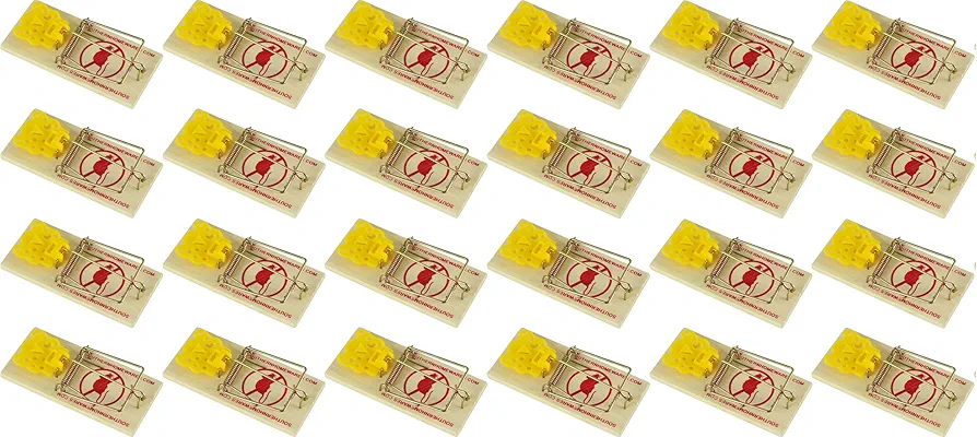 Snap Mouse Trap Spring Action with Expanded Cheese Shaped 24 Pack