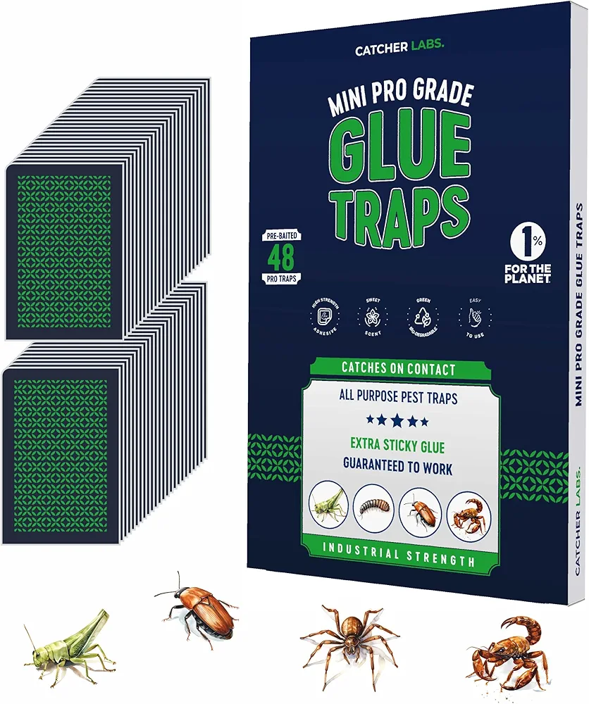 Catcher Labs Mini Insect Traps (48 Traps) | Extra Sticky Pre-Baited Glue Boards, Trap & Kill Most Crawling Insects, Bugs, Spiders, Scorpions, Cockroaches, Centipedes, Snakes