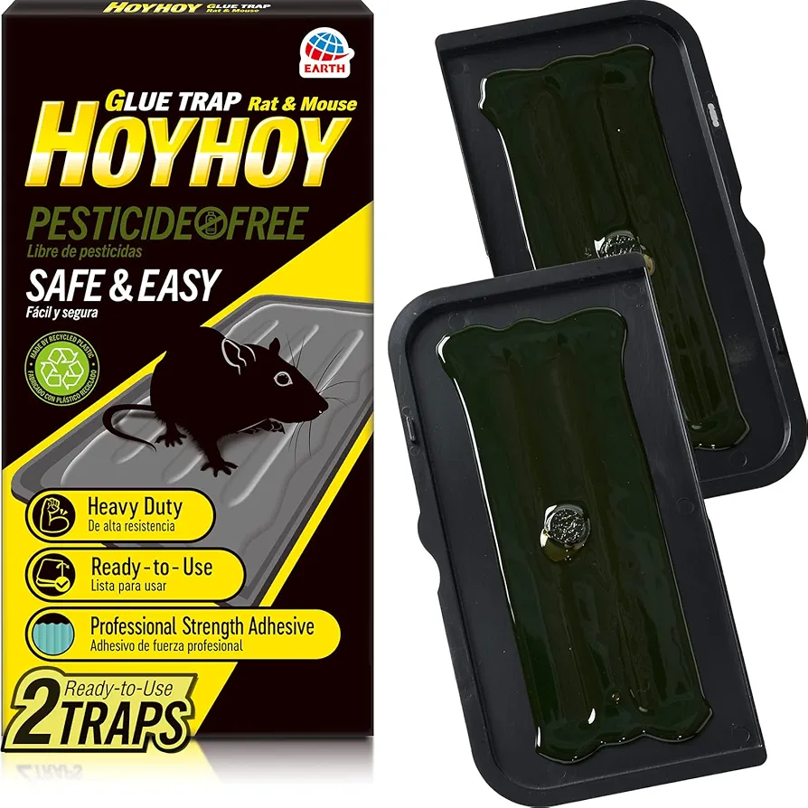 HOY HOY Regular Size Rat & Mouse Indoor/Outdoor Glue Trap 2 Traps [1 Pack] - Heavy-Duty Professional Strength Ready-to-Use Pest Control, Kids & Pets Friendly Household Pests & Insects