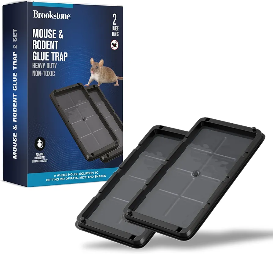 Mouse & Insect Heavy-Duty Glue Trap Boards 2pk