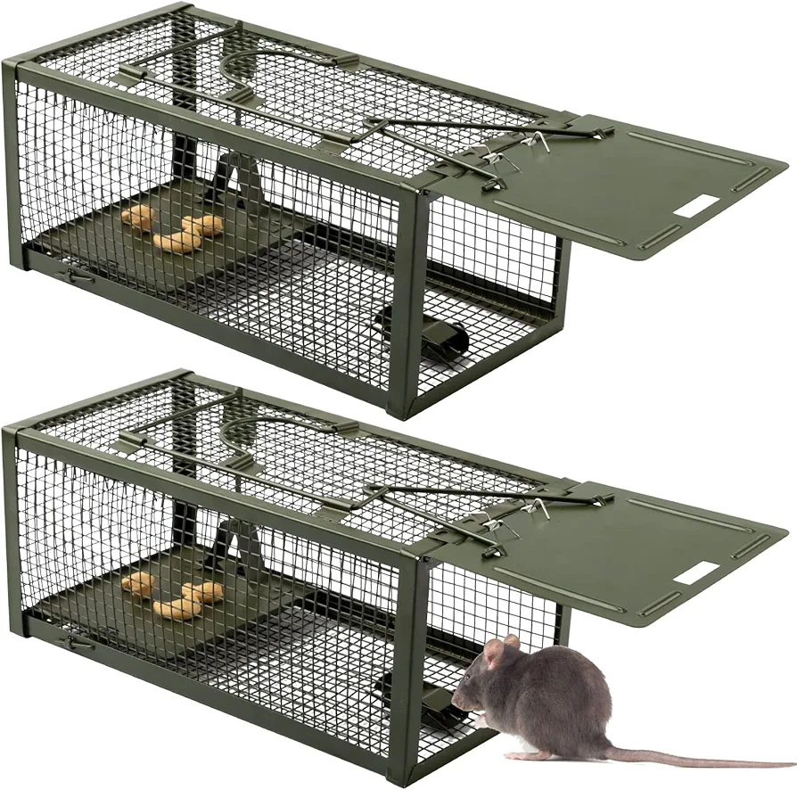 Qualirey 2 Pcs Live Rat Trap Humane Mouse Trap Mice Rat Cage Work for Small Animal Indoor and Outdoor Mouse Voles Hamsters Catch and Release(Green)