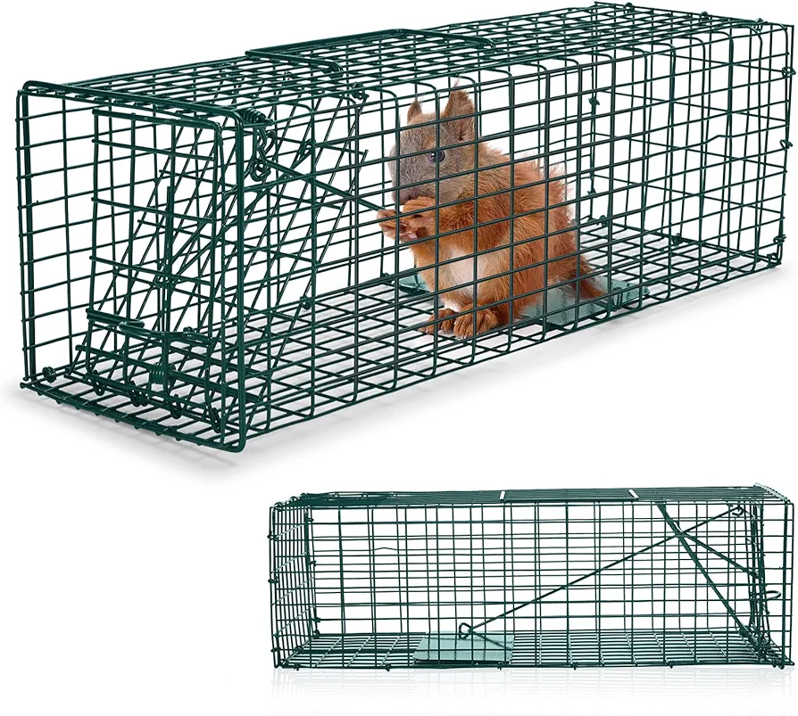 Qualirey 2 Pcs Humane Squirrel Trap Heavy Duty Live Animal Chipmunk Trap Catch and Release Rat Trap for Outdoor Small Animals Mouse Raccoon Stray Cat Rodent Weasels (16 x 5 x 5 Inch)