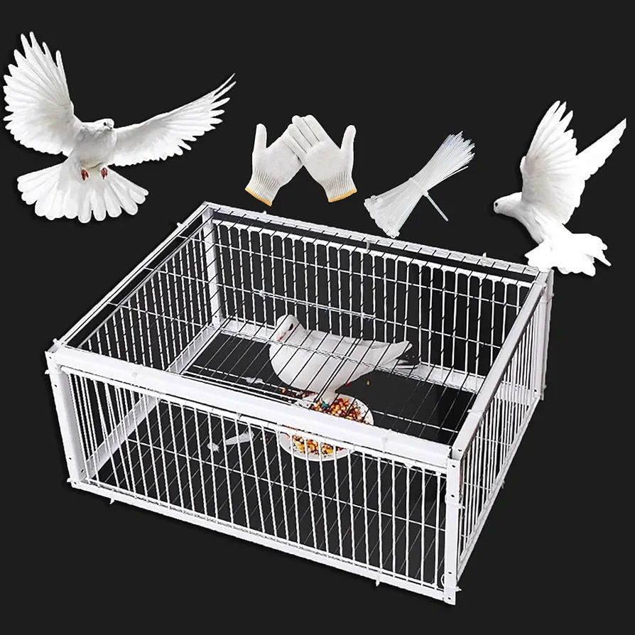 FORRTY Pigeon Trap Bird Trap Pigeon Trap Door Bird Traps Sparrow Trap Quail Trap Bird Trap cage Bird Traps for Small Birds Live Hunting Traps Mouse Traps Pigeon TrapX1 Wire tie X1 GlovesX1 (Size : XL