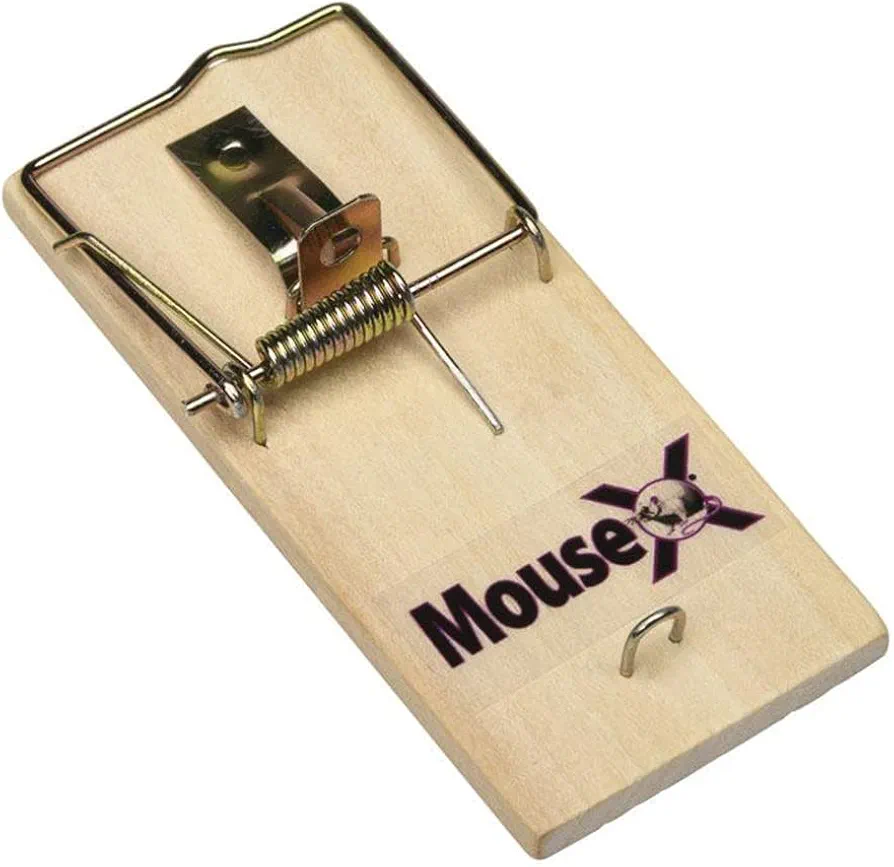 MouseX Wood Traps (Pack of 48) for Rats, Mice & Rodents. EcoClear Products 620306